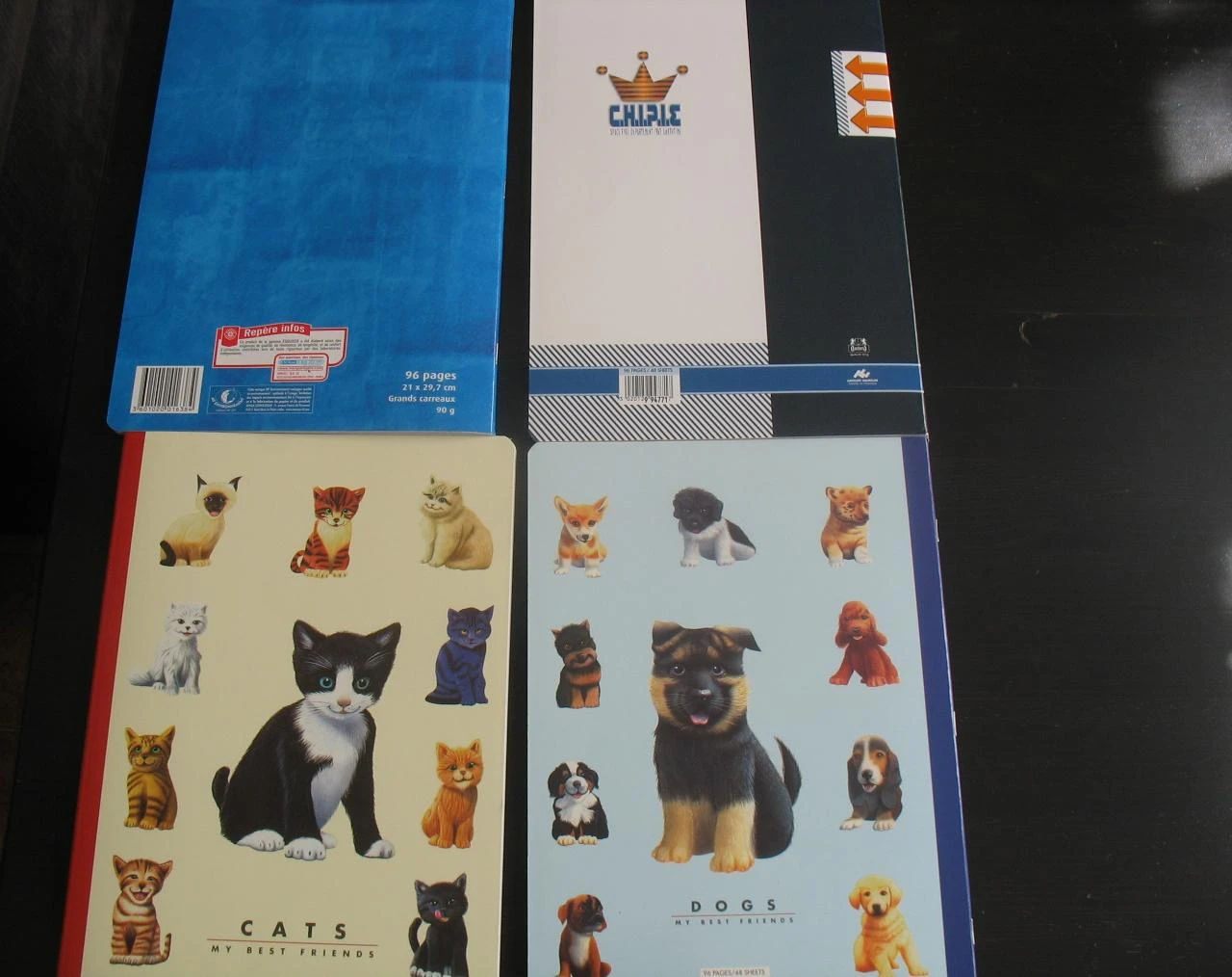 LOTE DE 4 GRANDES CUADERNOS - 96 PÁGINAS - NUEVO - n°51 – photo 2